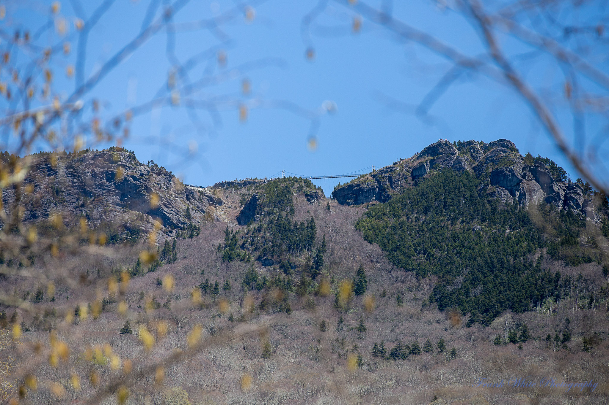 Mile-High-Bridge---Grandfather-Mountain-1.jpg