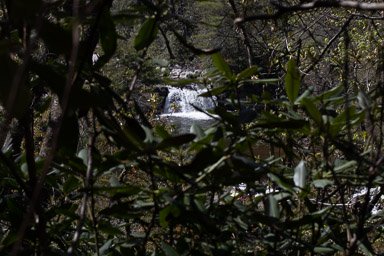 Linville-NC-14.jpg