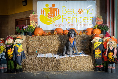 BarkFest-2020-0493.jpg BarkFest-2020-0493.jpg