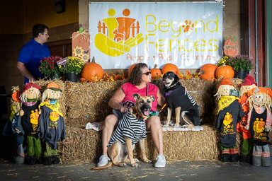 BarkFest-2020-0630.jpg BarkFest-2020-0630.jpg