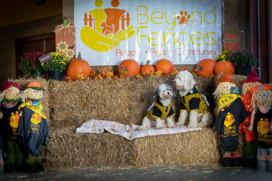 BarkFest-2020-0686.jpg BarkFest-2020-0686.jpg