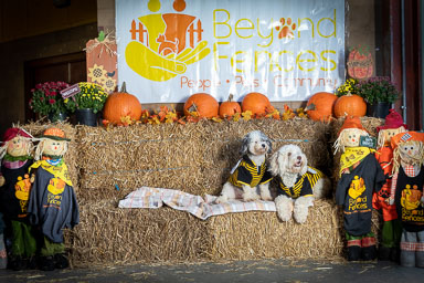 BarkFest-2020-0687.jpg BarkFest-2020-0687.jpg