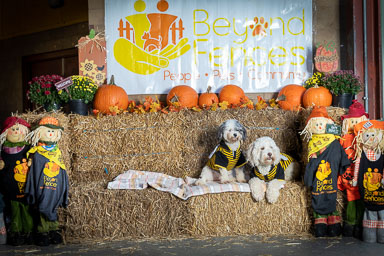 BarktoberFest 2021 BarktoberFest 2021