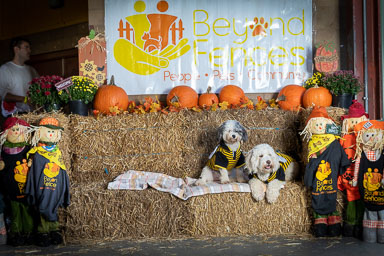 BarkFest-2020-0689.jpg BarkFest-2020-0689.jpg