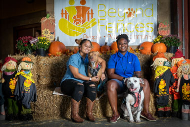 BarkFest-2020-0695.jpg BarkFest-2020-0695.jpg