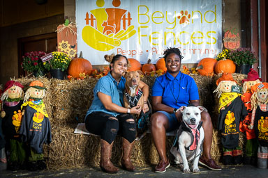 BarkFest-2020-0696.jpg BarkFest-2020-0696.jpg