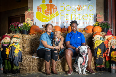 BarkFest-2020-0697.jpg BarkFest-2020-0697.jpg