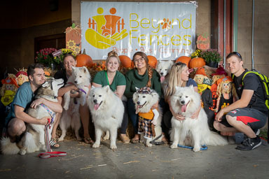 BarkFest-2020-0699.jpg BarkFest-2020-0699.jpg