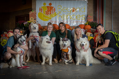 BarkFest-2020-0701.jpg BarkFest-2020-0701.jpg