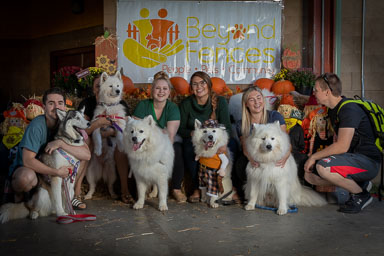 BarkFest-2020-0702.jpg BarkFest-2020-0702.jpg