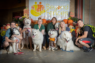 BarkFest-2020-0703.jpg BarkFest-2020-0703.jpg