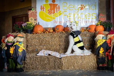 BarktoberFest 2021 BarktoberFest 2021