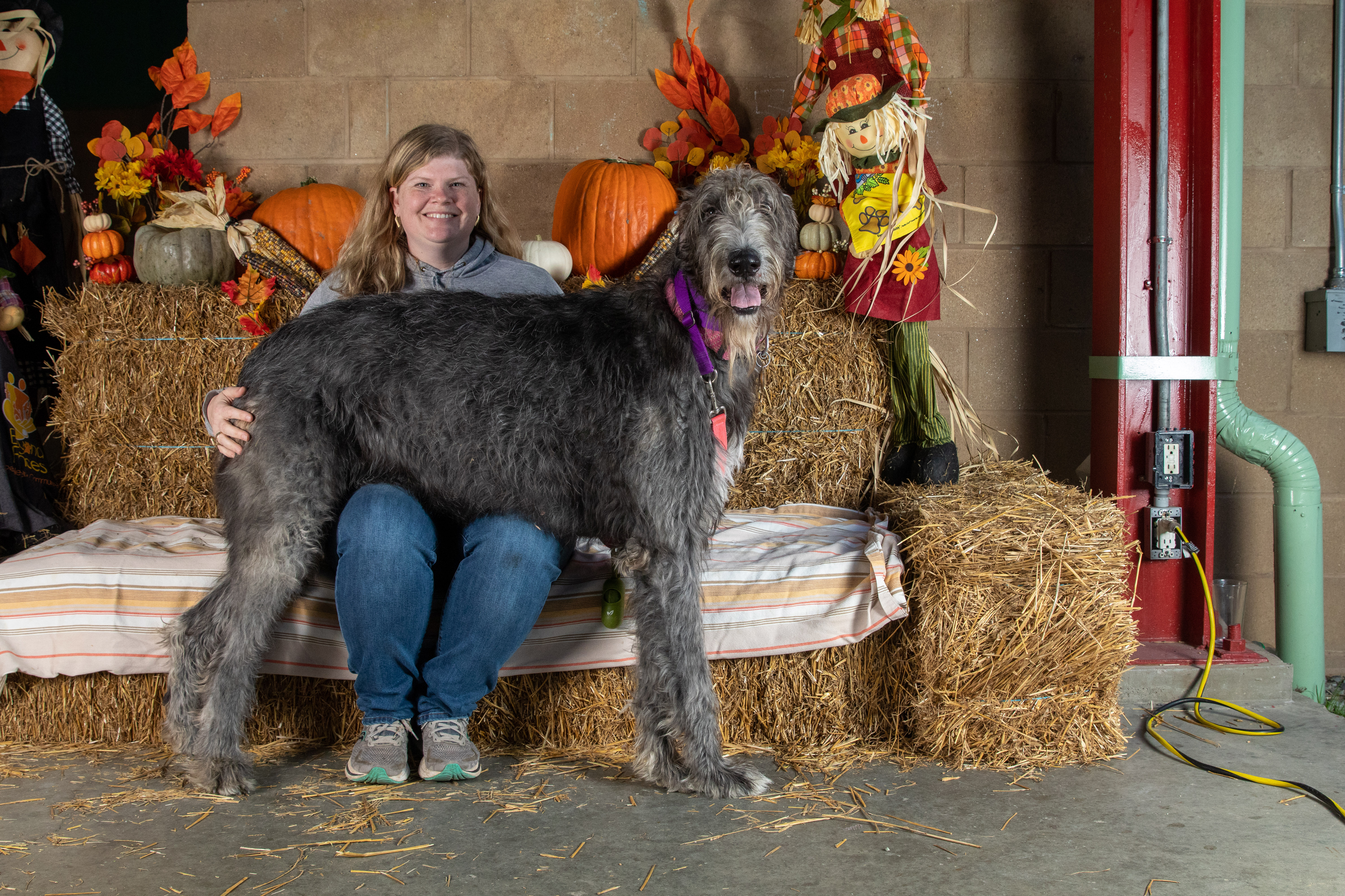 Barktoberfest 2022 