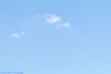 8NC8-Lake-Ridge-Fly-in-April-23rd-0682.jpg 8NC8-Lake-Ridge-Fly-in-April-23rd-0682.jpg