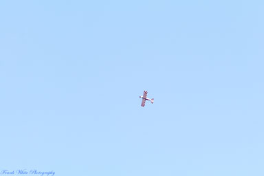 8NC8-Lake-Ridge-Fly-in-April-23rd-0689.jpg 8NC8-Lake-Ridge-Fly-in-April-23rd-0689.jpg