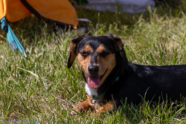 8NC8-Lake-Ridge-Fly-in-April-23rd-1028.jpg 8NC8-Lake-Ridge-Fly-in-April-23rd-1028.jpg