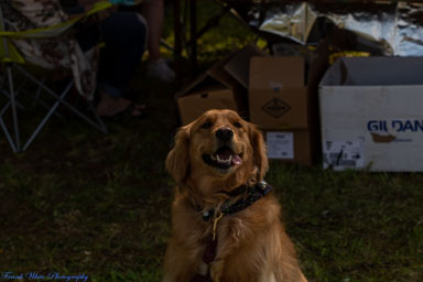 8NC8-Lake-Ridge-Fly-in-April-23rd-1029.jpg 8NC8-Lake-Ridge-Fly-in-April-23rd-1029.jpg