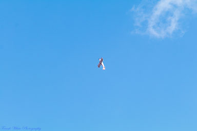 8NC8-Lake-Ridge-Fly-in-April-23rd-1163.jpg 8NC8-Lake-Ridge-Fly-in-April-23rd-1163.jpg