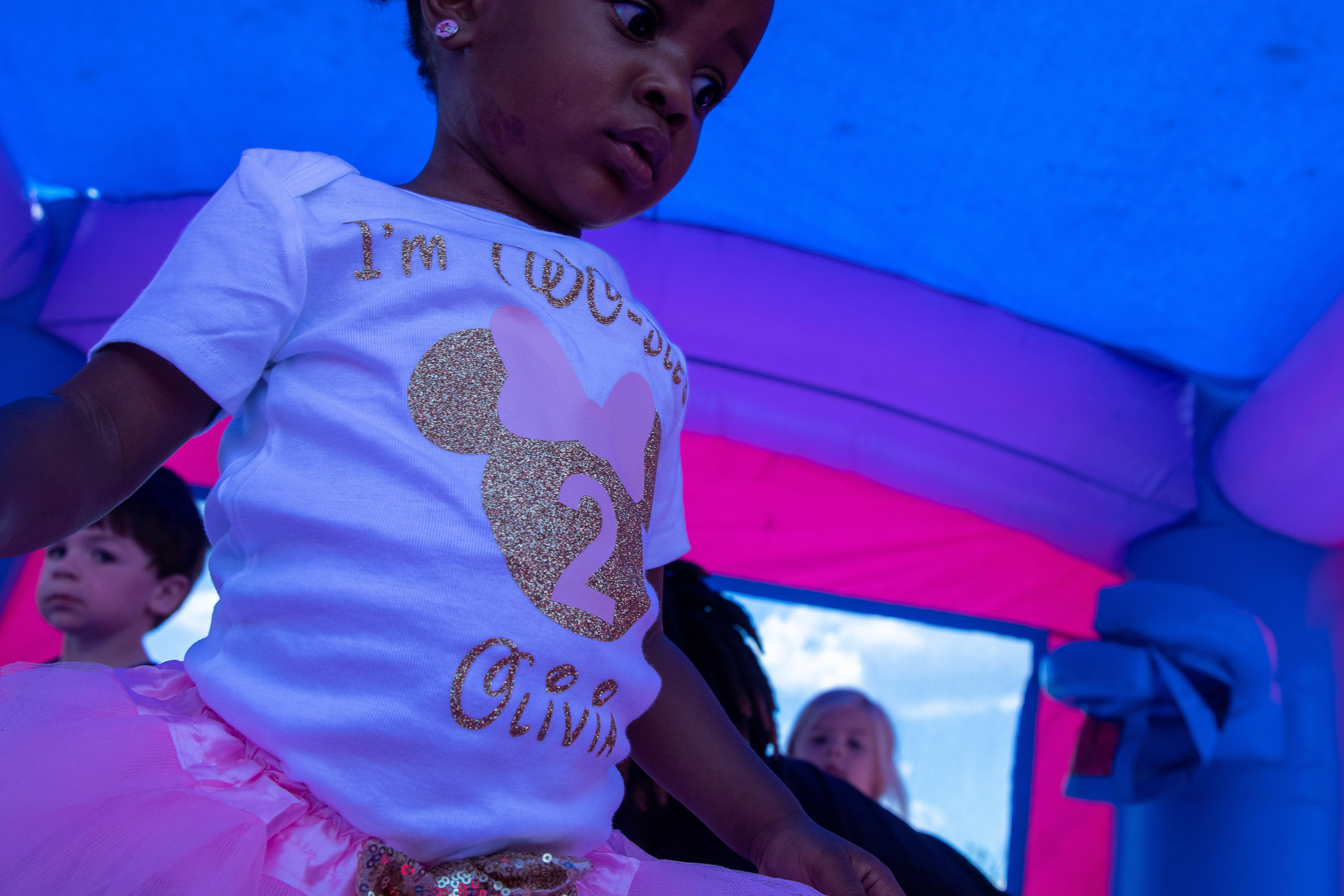 Oliviia's-2nd-Birthday-Party-3-of-184.jpg