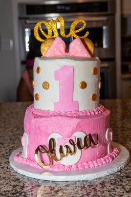 Oliva-Hicks-1st-Birthday-Party-73-of-293.jpg